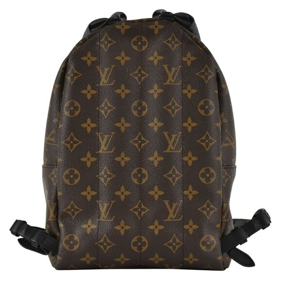 Louis Vuitton Palm Springs PM Rucksack Monogram Backpack - Picture 3 of 12